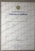 Image result for South African Police Clearance