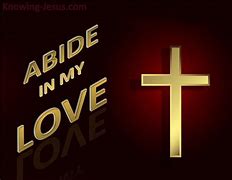 Image result for John 15 Abide in My Love