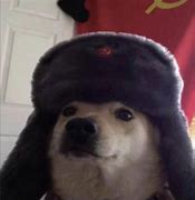 Image result for Soviet Dog PFP