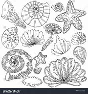 Image result for Shell Outline for Kids