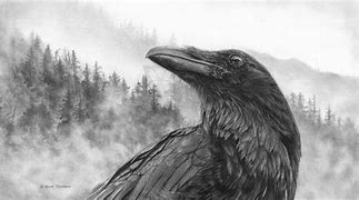 Image result for Raven Trickster