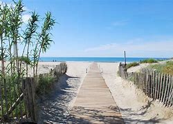 Image result for Path Near the Beach