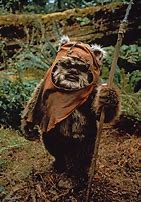 Image result for Ewok Princess