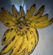 Image result for Pisang Raja Manis