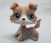 Image result for Lps Collie