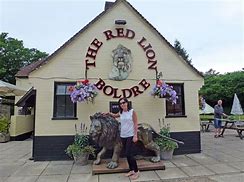 Image result for Red Lion Pub UK