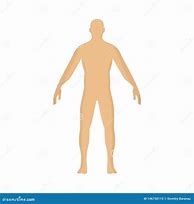 Image result for Male Body Cartoon