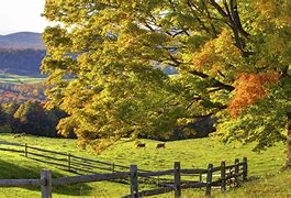 Image result for Scenic Nature Wallpapers Free