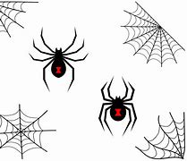 Image result for Black Widow Spider SVG Free