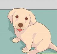 Image result for Dog Saying Please