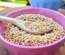 Image result for Steel Cut Rolled Oats