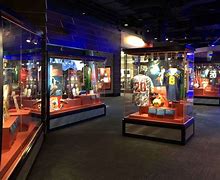 Image result for National Soccer Hall of Fame