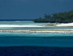 Image result for Aldabra Atoll Seychelles