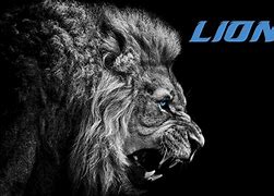 Image result for Detroit Lions Wallpaper Week 12022