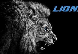 Image result for Detroit Lions Wallpaper HD