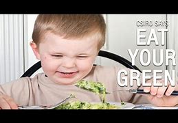 Image result for Full Feeds Diet