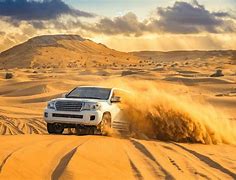 Image result for A Desert Safari