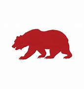 Image result for The Bear FX GIF