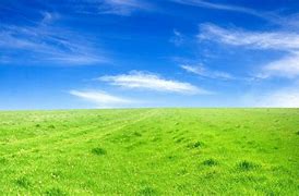 Image result for Land with Sky BG