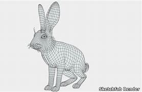 Image result for Young Hare Copy