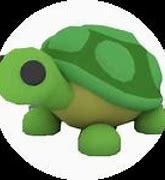 Image result for Adopt Me Turtle