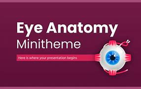 Image result for Orbit Anatomy PPT