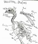 Image result for Vulture Representation