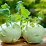 Image result for Kohlrabi Tastes Like