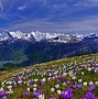 Image result for Bing Landscape Photography