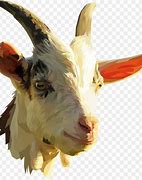 Image result for Pygmy Goat Clip Art