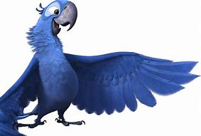 Image result for Rio Bird Sad