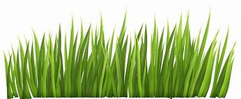 Image result for Free Beach Grass Clip Art