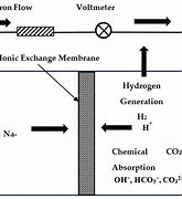 Image result for Electrochemical Cell Structure