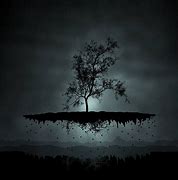 Image result for Black Tree with Hedgehog Wallpaper