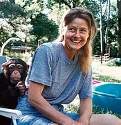 Image result for Chimp Attack