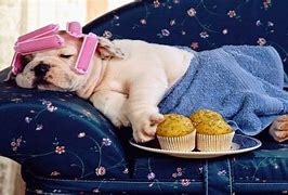 Image result for World Lazy-Day