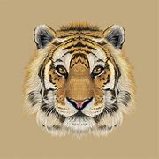 Image result for Digital Illustration Tiger