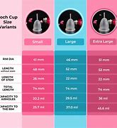 Image result for 36M Cup Size