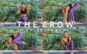 Image result for Crow Pose Bars