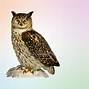 Image result for Spirit Animals for Zodiac Signs