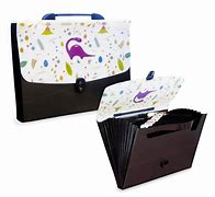 Image result for File Folder Plactic with Handle