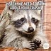 Image result for Anime Animal Memes