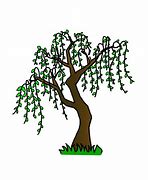 Image result for Willow Tree Drawing