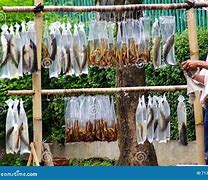 Image result for Fish Monger Ari