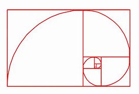 Image result for Spiral Shape