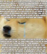 Image result for Doge Sad Aviation