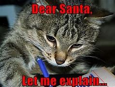 Image result for Animal Christmas Funny Cats