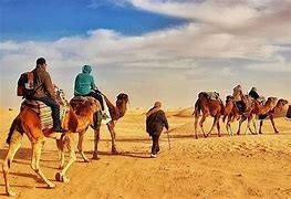 Image result for Desert in Tunisia