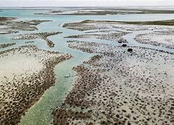 Image result for South Andros Island Fishing