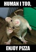 Image result for Rat in Hand Meme